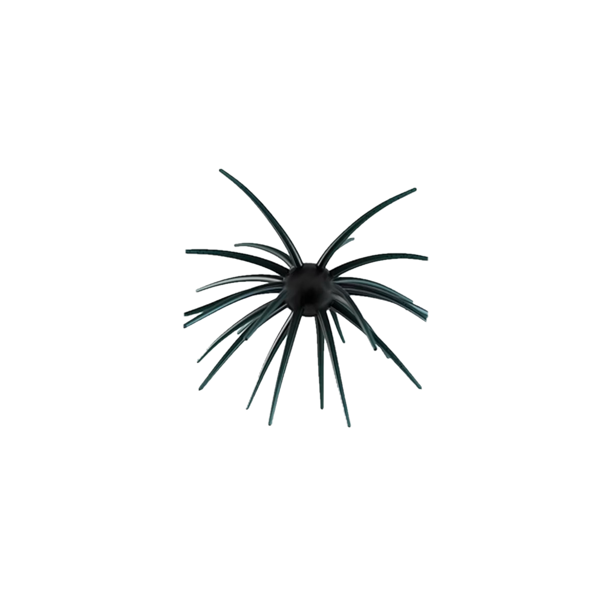 Star Burst – Black