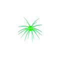Star Burst – Chartreuse