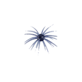Star Burst – Cinnamon