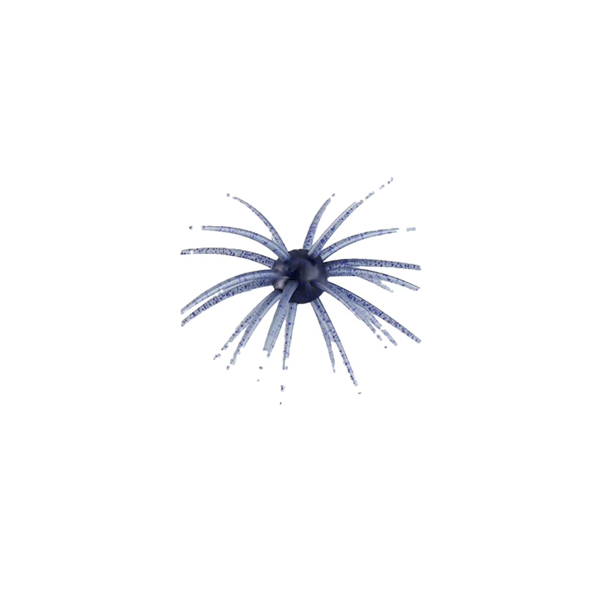 Star Burst – Cinnamon
