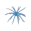 Star Burst – Watermelon Seed
