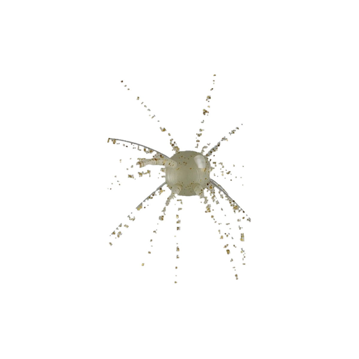 Star Burst – Blue Pepper