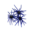 Star Burst Magnum – Scuppernong