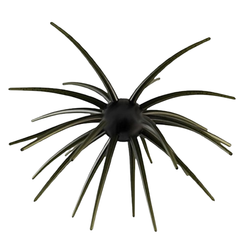 Star Burst – Black